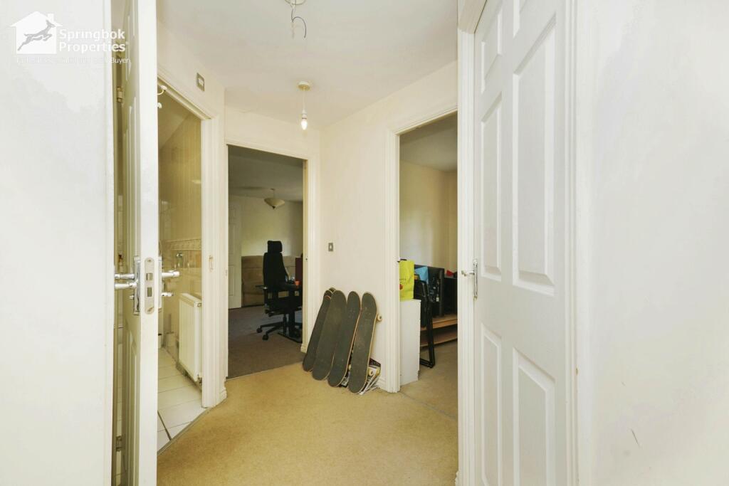 IMAGE 4