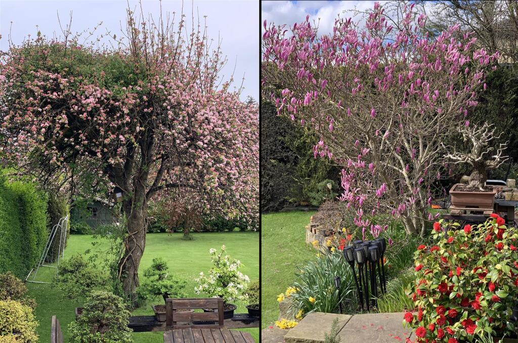 Garden May 2021-1.jpg