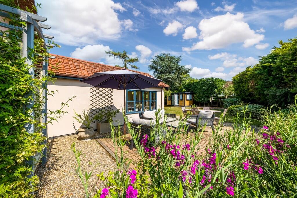 1440px Beech Tree...