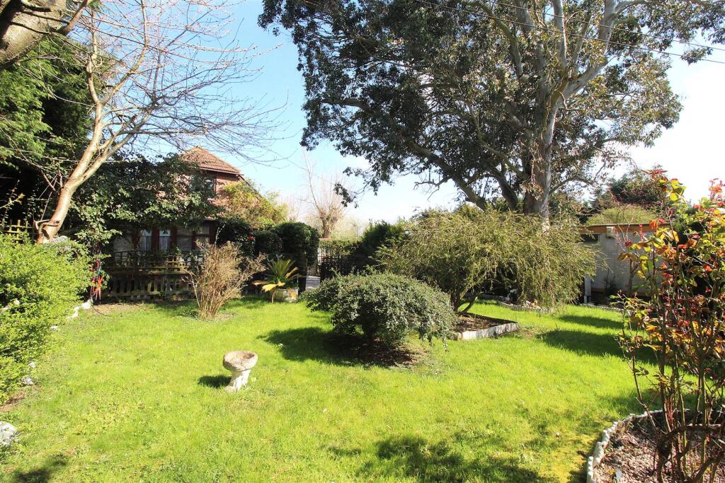 Garden 1.5.JPG