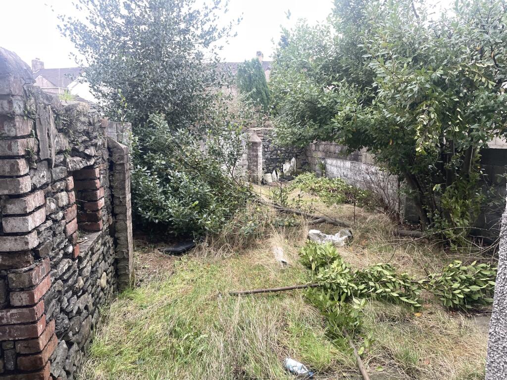 IMG 4501 T202501141309.jpeg