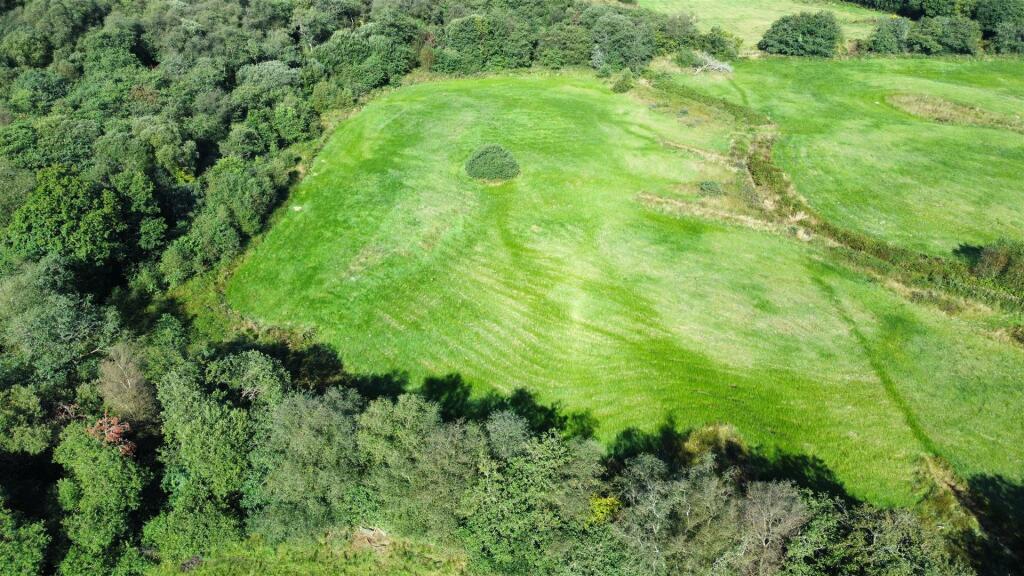 dji_fly_20240830_100654_766_1725008836664_photo_op