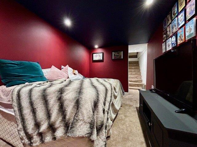 Basement/Cinema Room