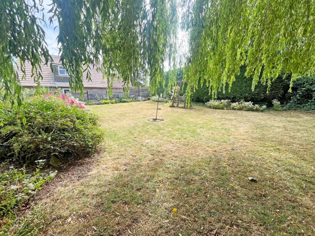 Garden 3.jpg