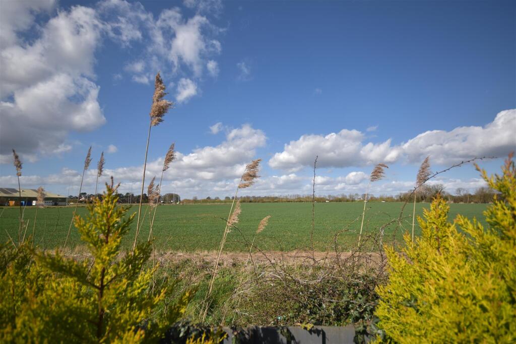 DSC_0098.JPG