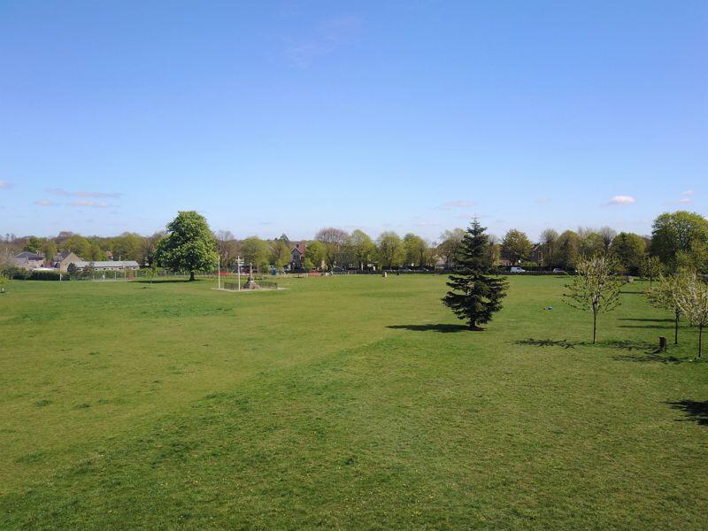 The Firs playing field