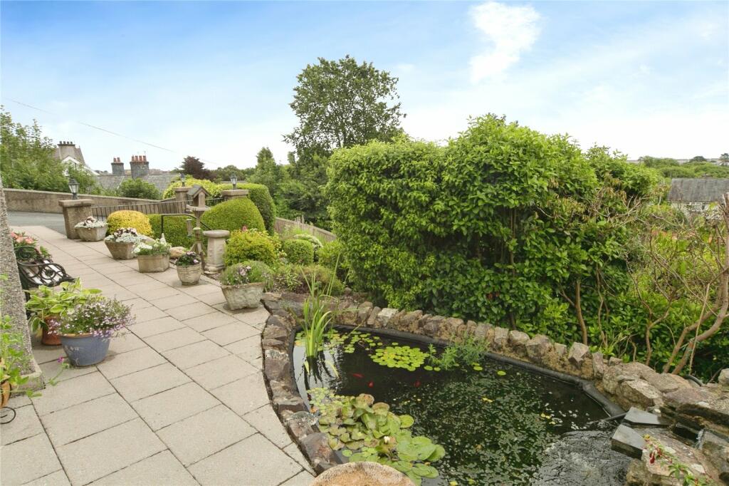 Patio &amp; Pond
