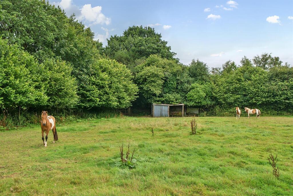 Bottom Paddock and Second Field Shelter
