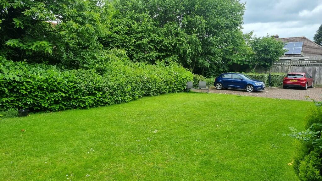 Communal Garden