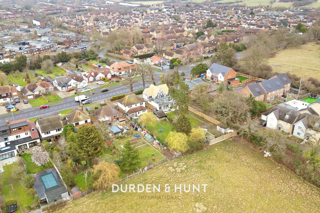 Honey6.jpg