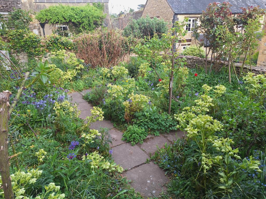 Garden in the summer