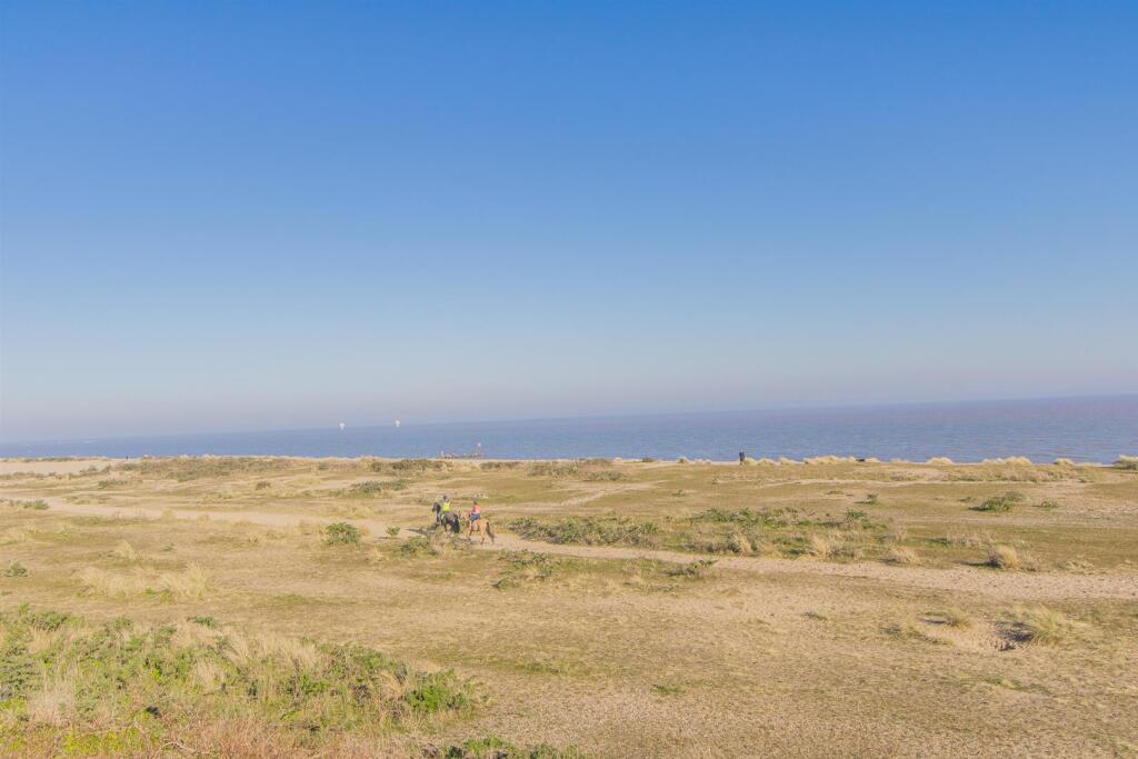 IMG_3355.jpg