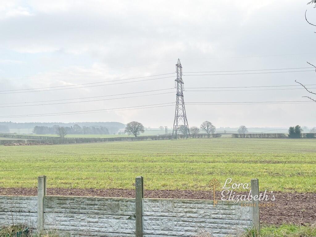 Field Views