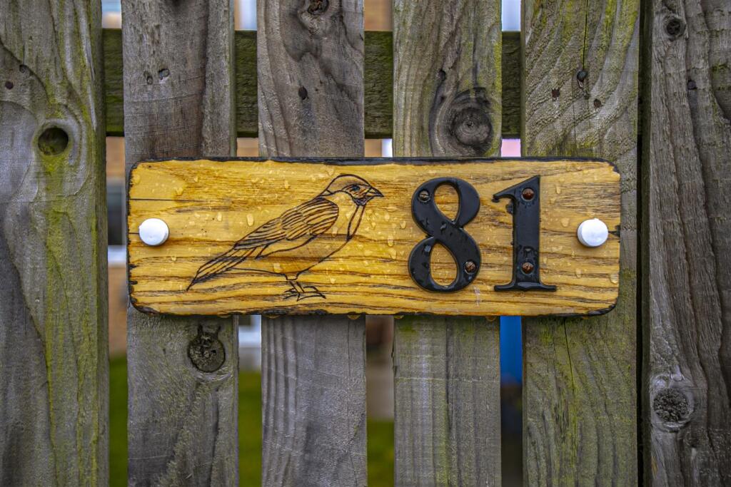 13 (1).jpg