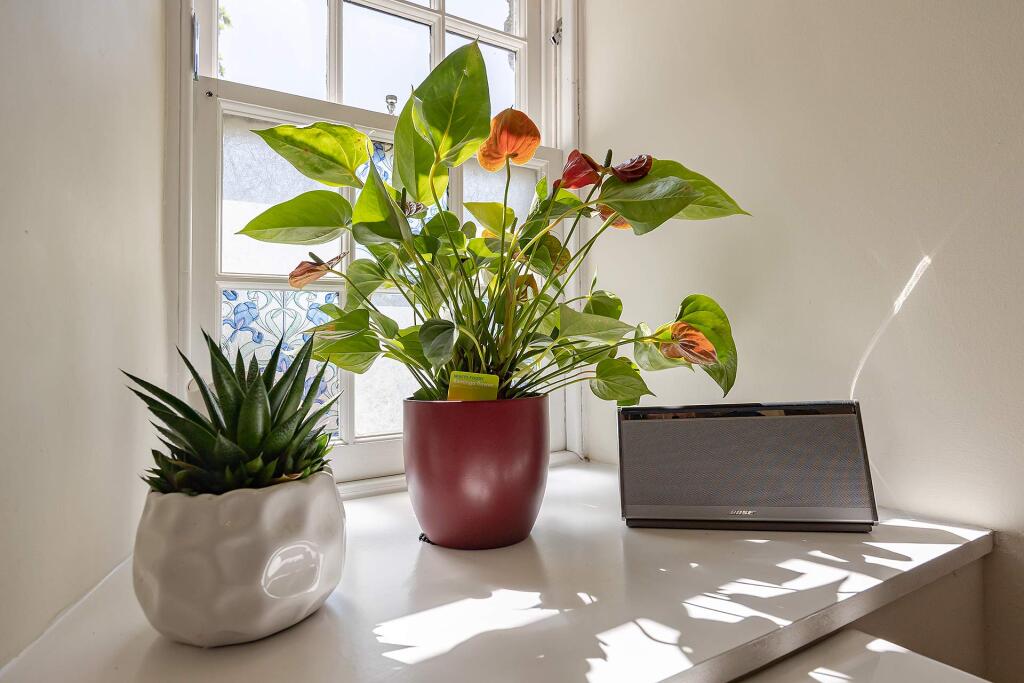 Bathroom - Second Floor Flat, West Port House