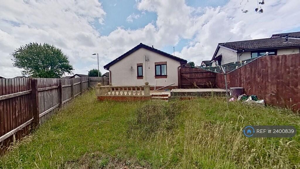 Back Garden