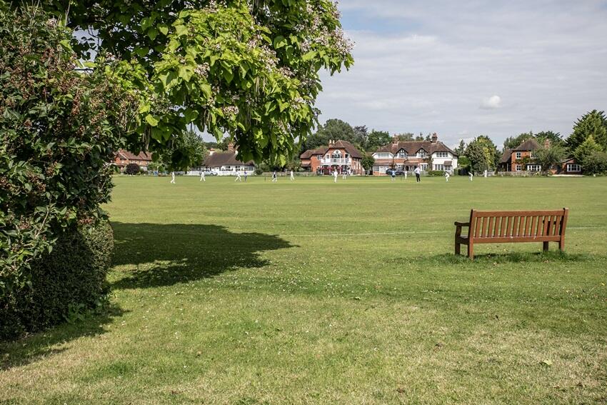 Cricket field view
