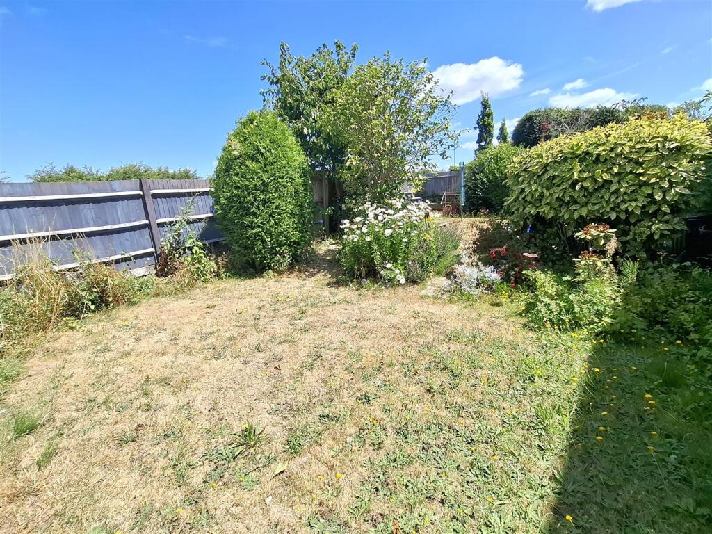 Garden .jpg