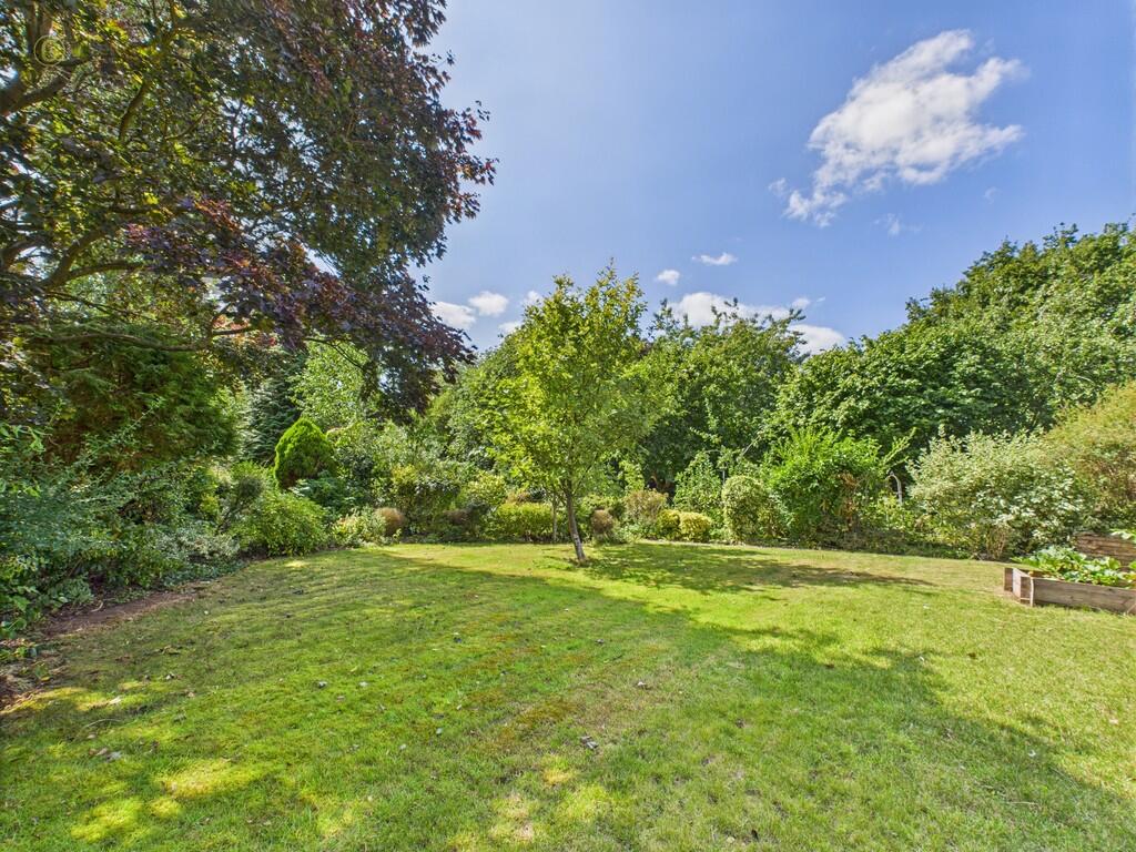 CAM03830G0-PR0196...