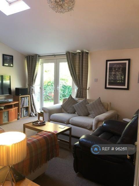 Extension - Family Room