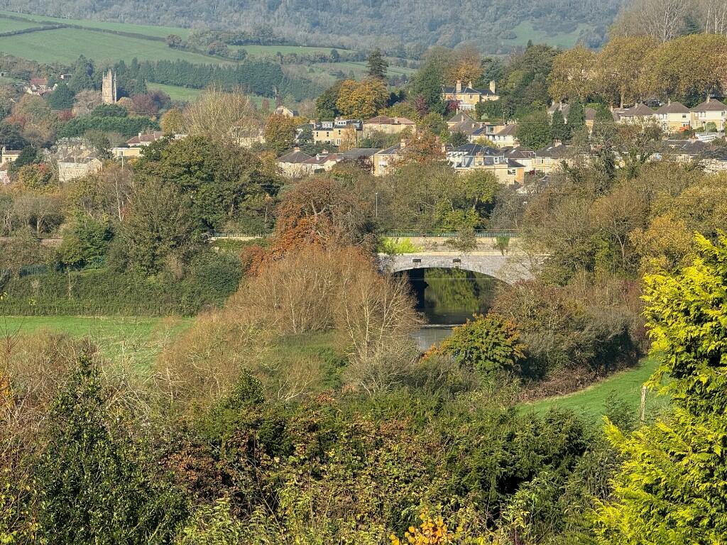 Rear views