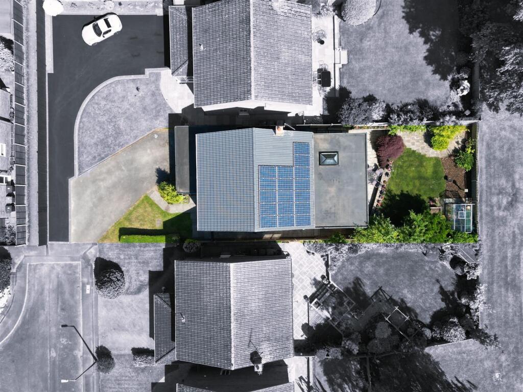 dji_fly_20250619_151542_594_1750342658394_BWMix.jp