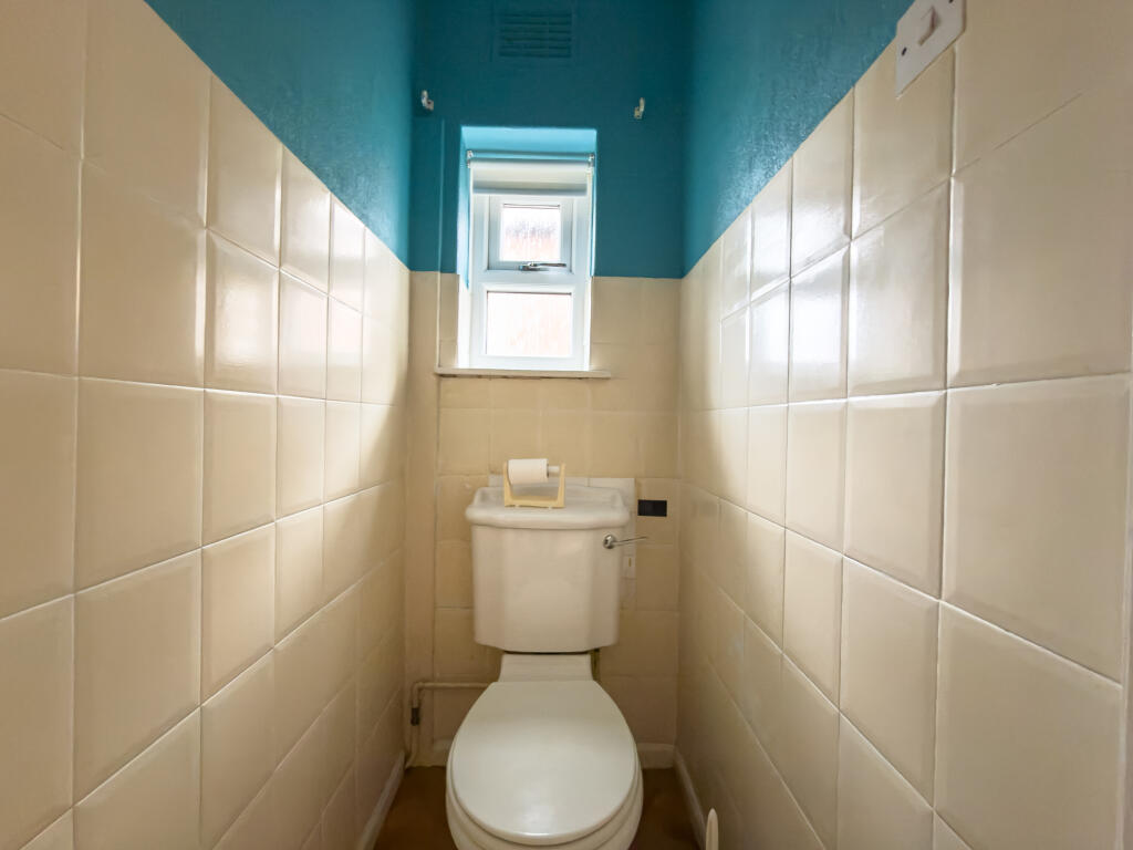 IMG 7781 T202511161807.jpg