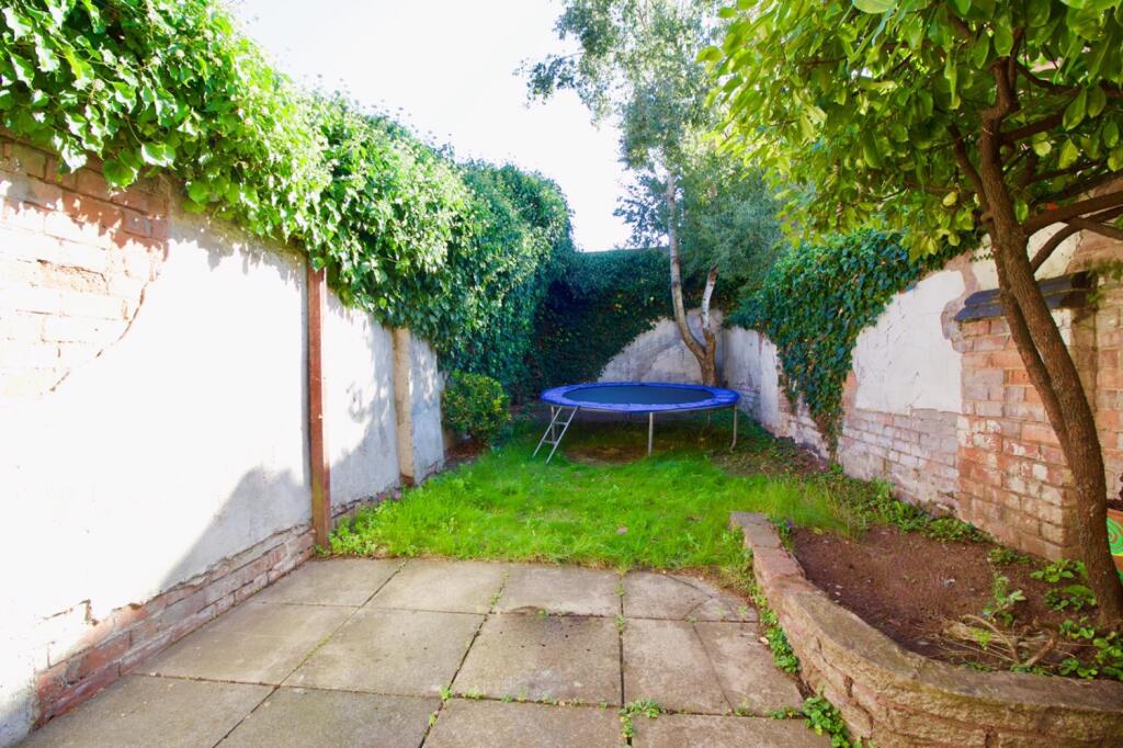 Back garden