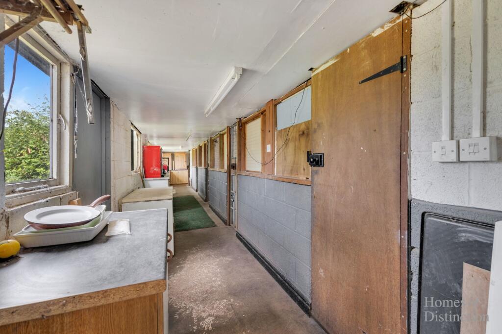 Kennels (interior)
