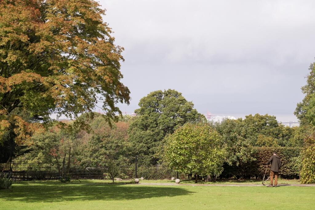 An acre of garden