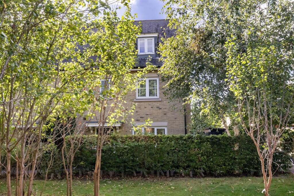 1 Kings wood  (27).jpg