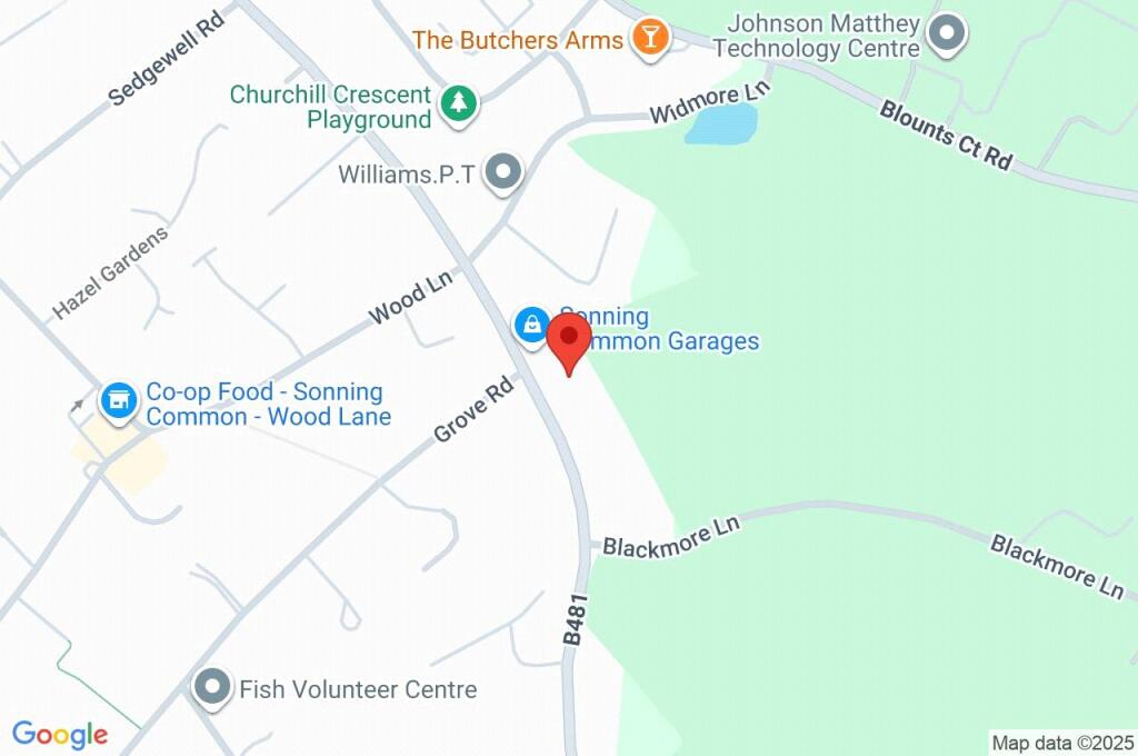 Google Maps Image