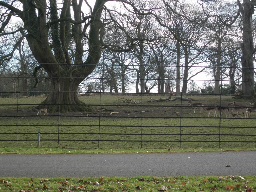 Deer Park