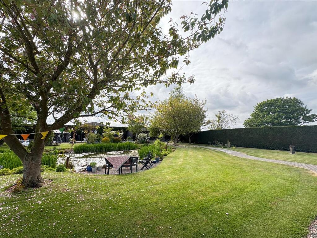 processed-5F629382-1B7E-4ADD-A06A-3B30A6B9A833.jpe