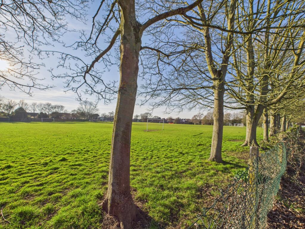 Local Playing Field