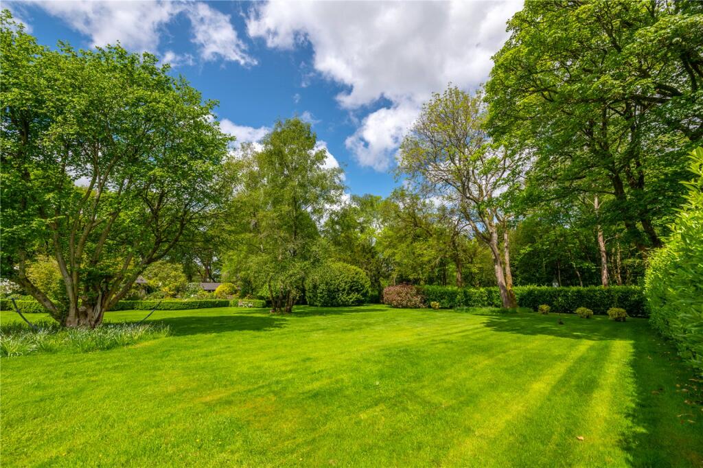 Garden 2