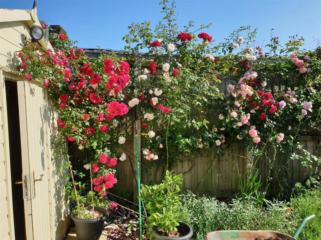 GARDENS