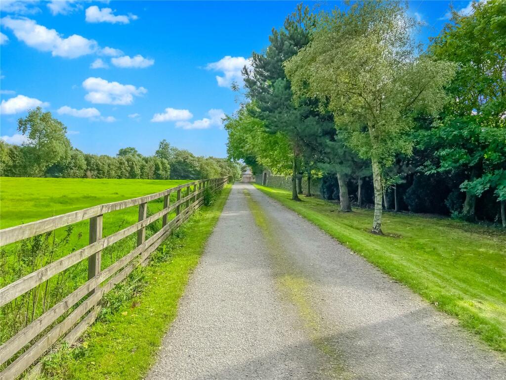 Driveway