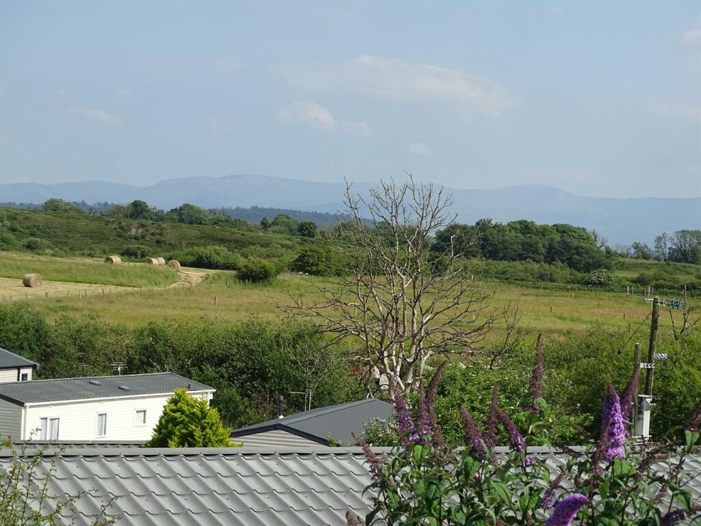 DSC01941.jpg