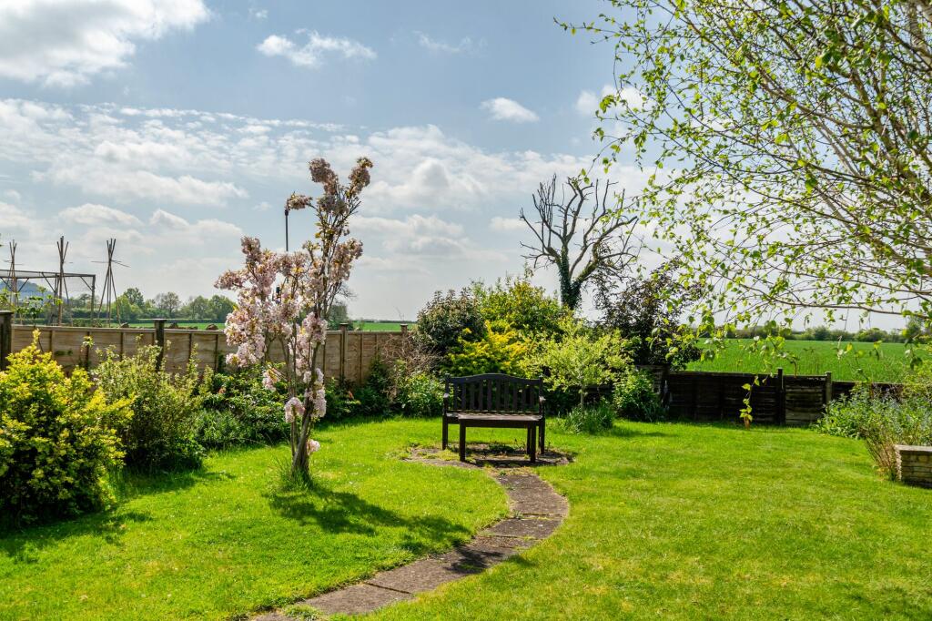 Garden - shot two