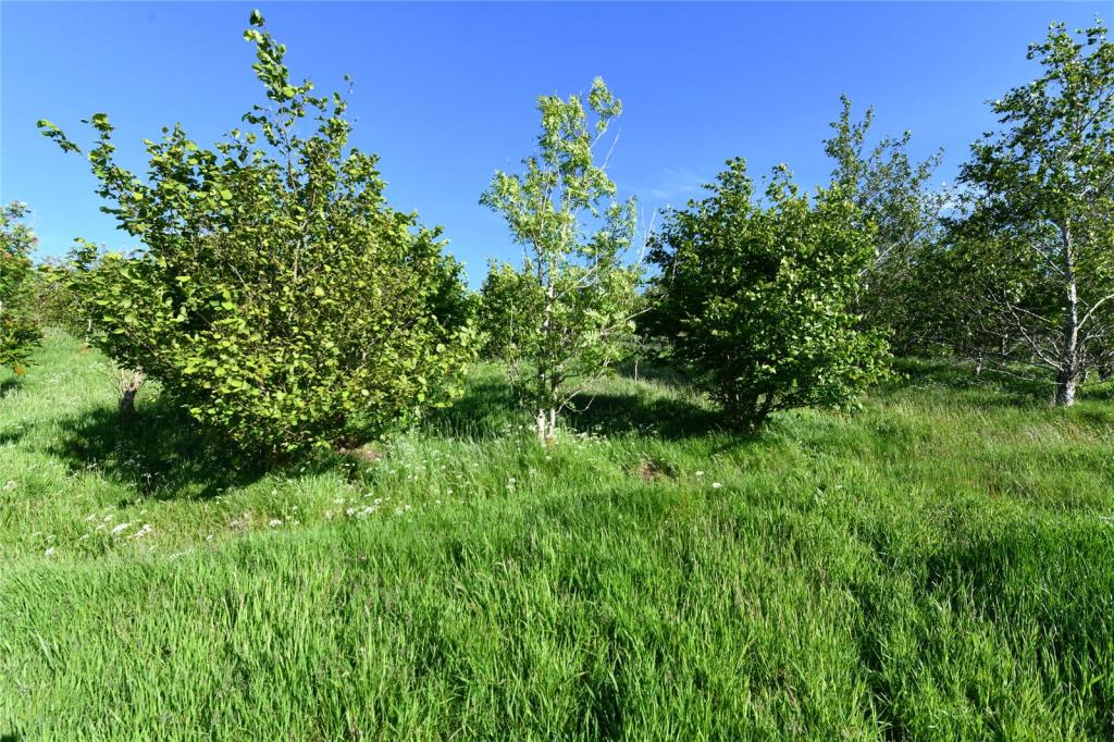 Lot 1