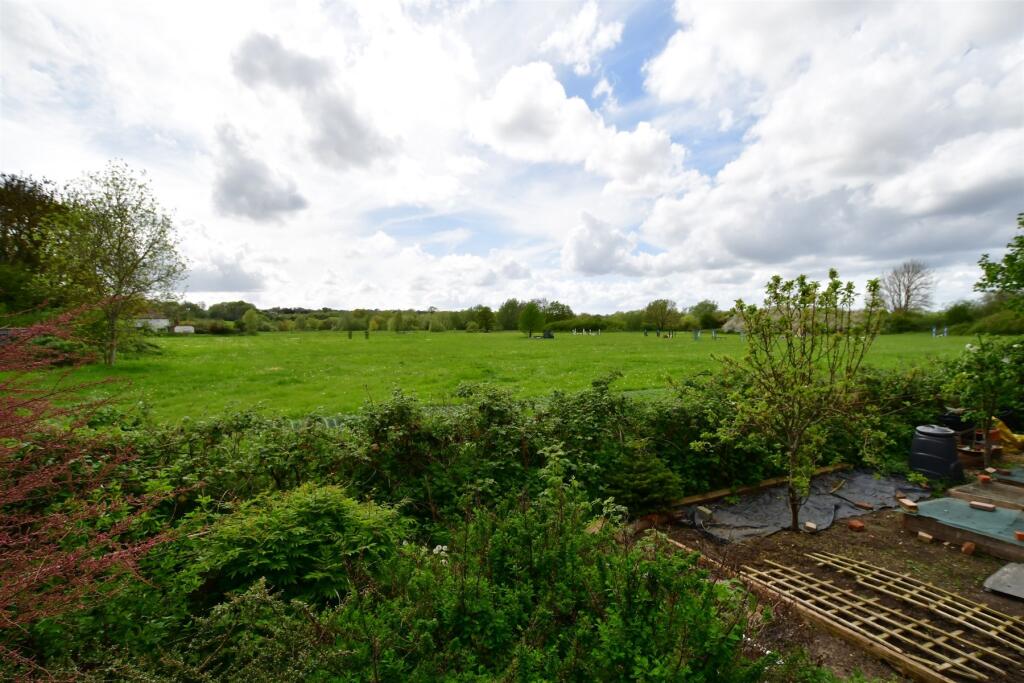 Surrounding Area