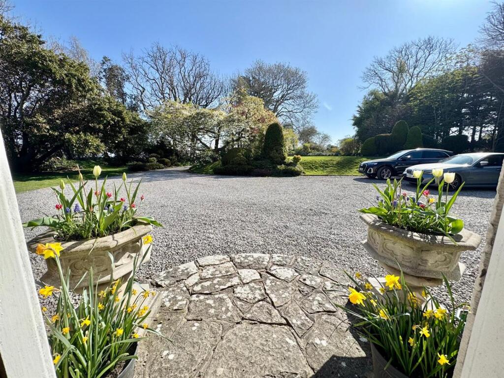 PHOTO-2025-04-13-20-45-42 (14).jpg