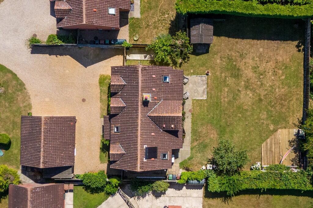 1440px-Brambles-5...