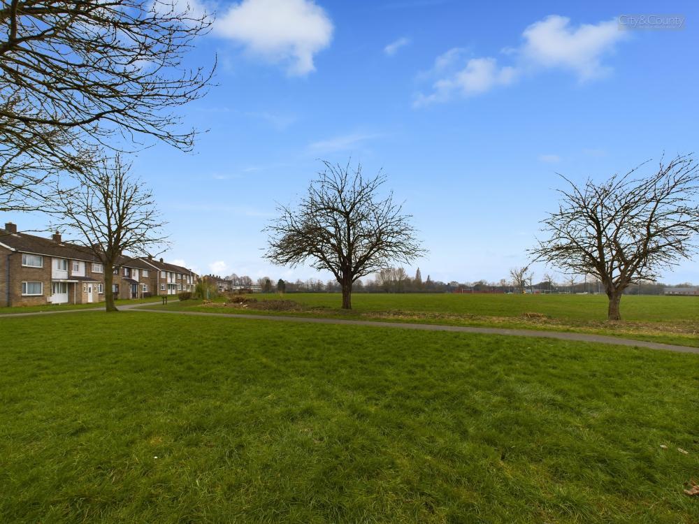 Green Space