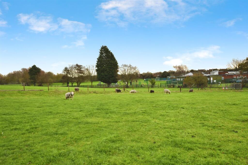 Burstwick Village Field