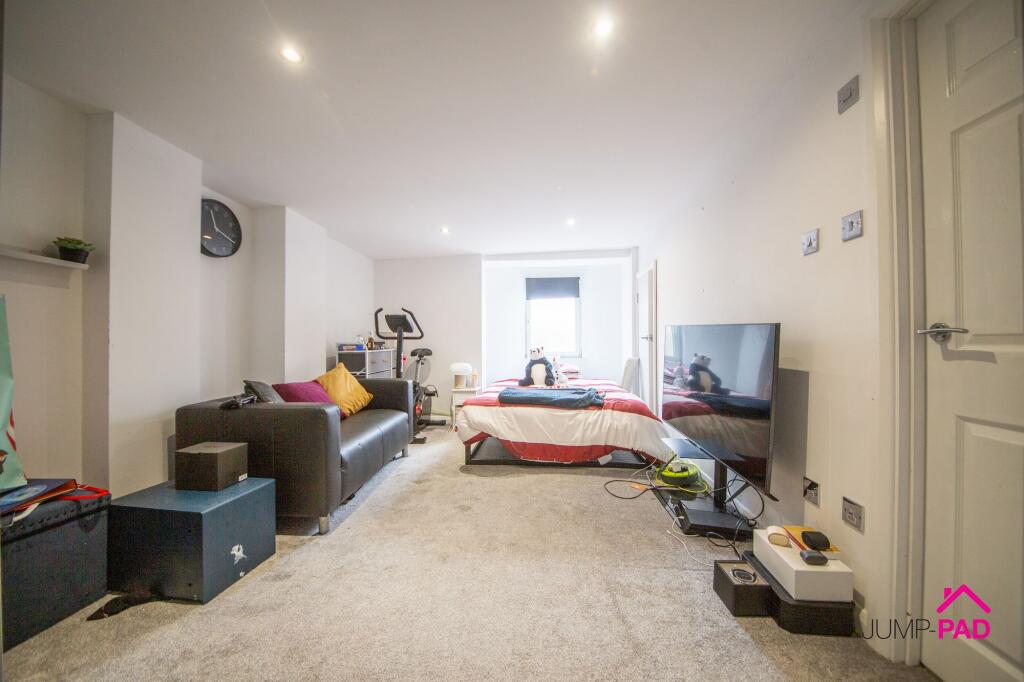 Basement Bedroom and Living room