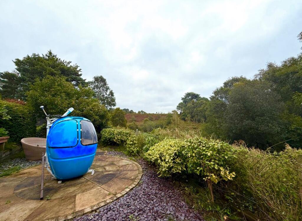 Rear garden
