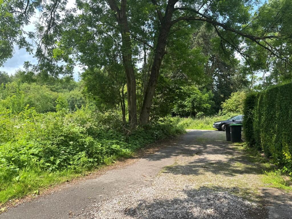 WhatsApp Image 2025-09-11 At 15.58.12 9a5a0263 T202509111613.jpg