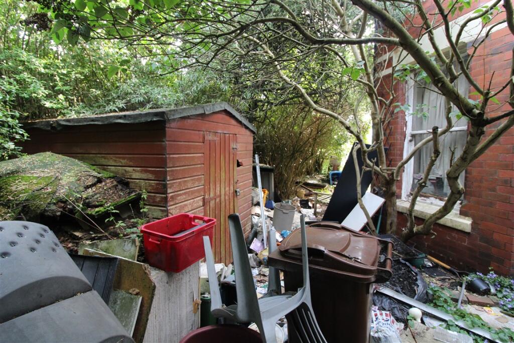 IMG 5810  Medium  T202507011133.jpg